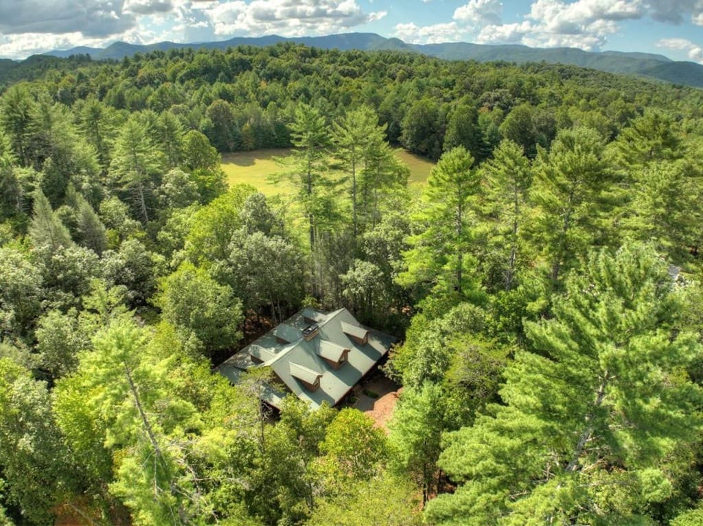 390 Twin Creeks Road, Blue Ridge GA 30513 - Photo