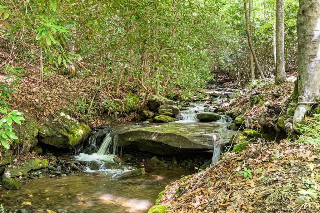 255 Stoney Brook Trail, Hayesville NC 28904 - Photo