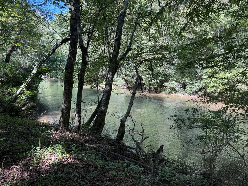 48 Riverwood Trail, Ellijay GA 30540 - Photo