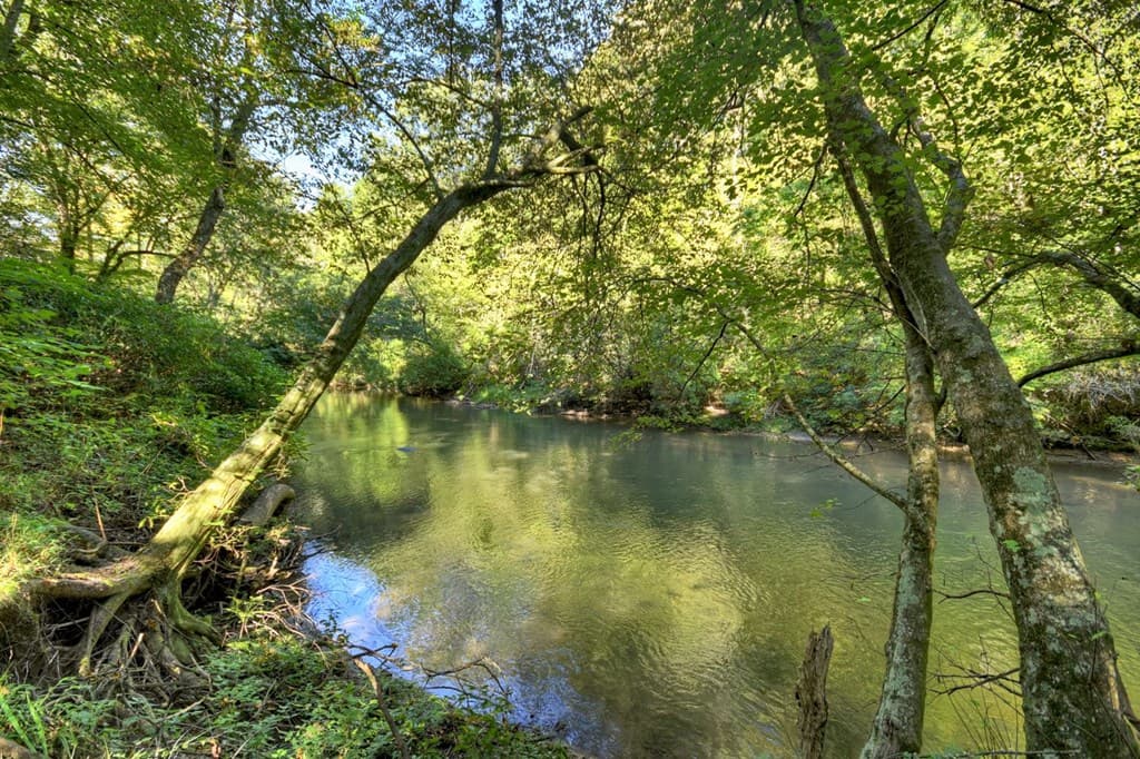 48 Riverwood Trail, Ellijay GA 30540 - Photo