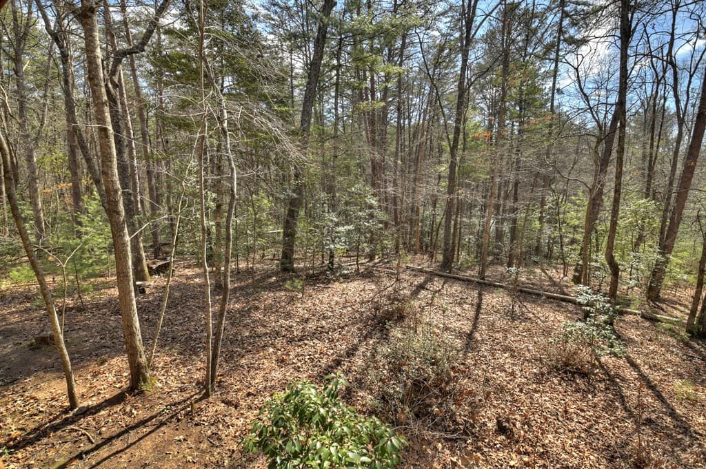331 Chestnut Gap Road, Blue Ridge GA 30513 - Photo