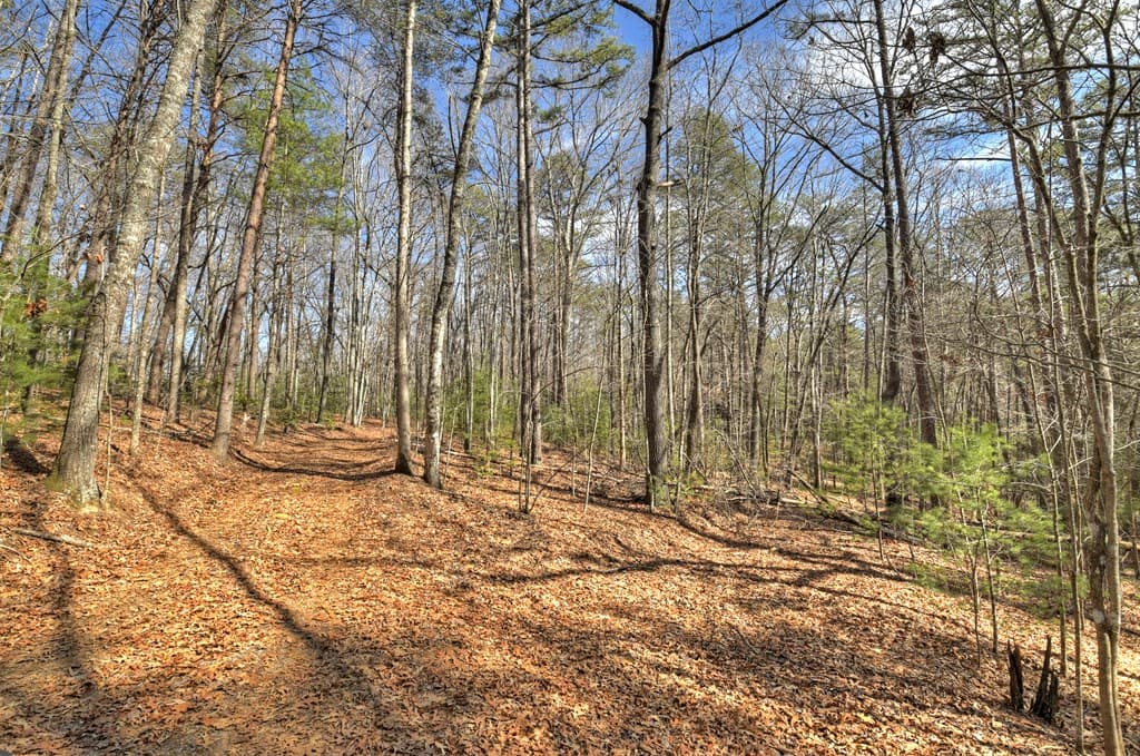 331 Chestnut Gap Road, Blue Ridge GA 30513 - Photo