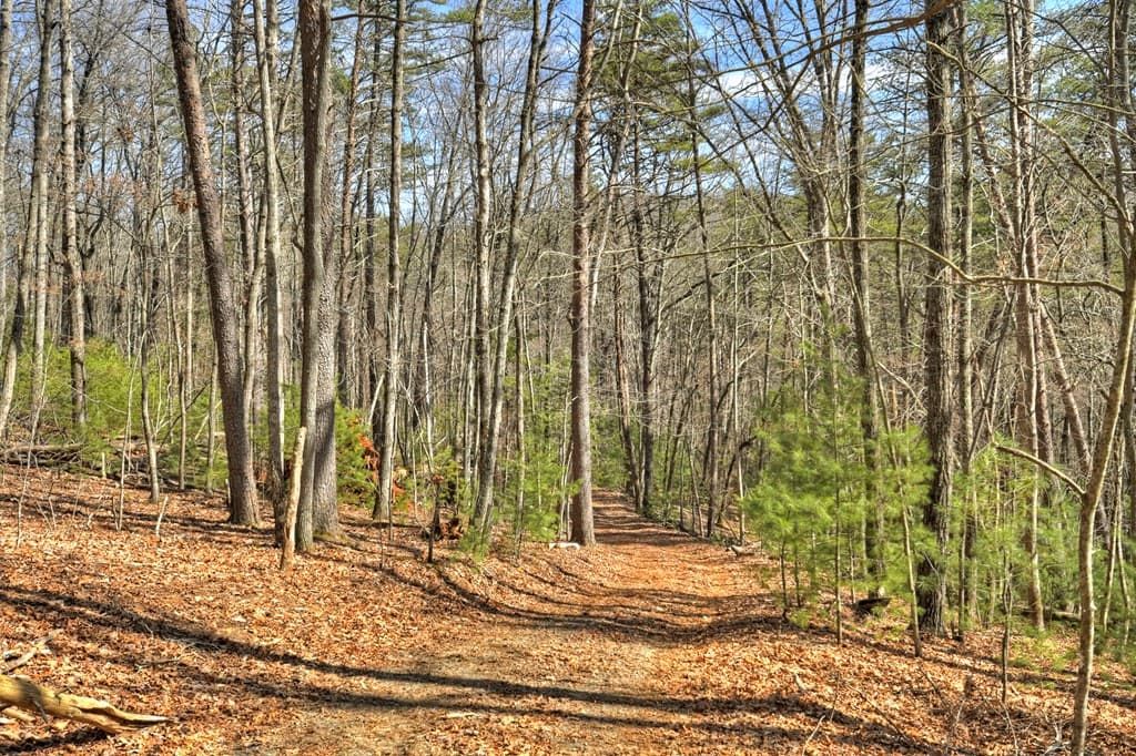331 Chestnut Gap Road, Blue Ridge GA 30513 - Photo