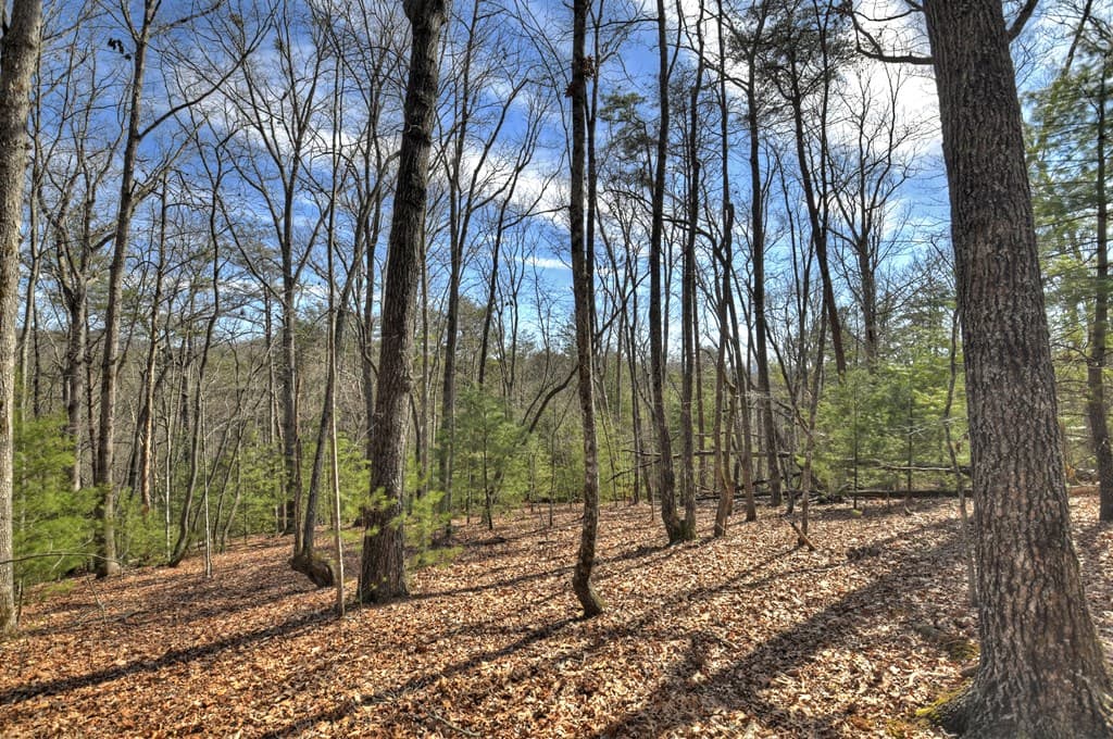 331 Chestnut Gap Road, Blue Ridge GA 30513 - Photo