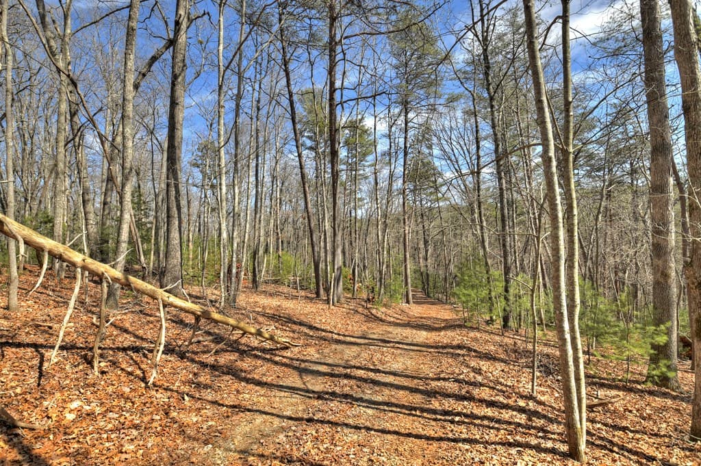 331 Chestnut Gap Road, Blue Ridge GA 30513 - Photo