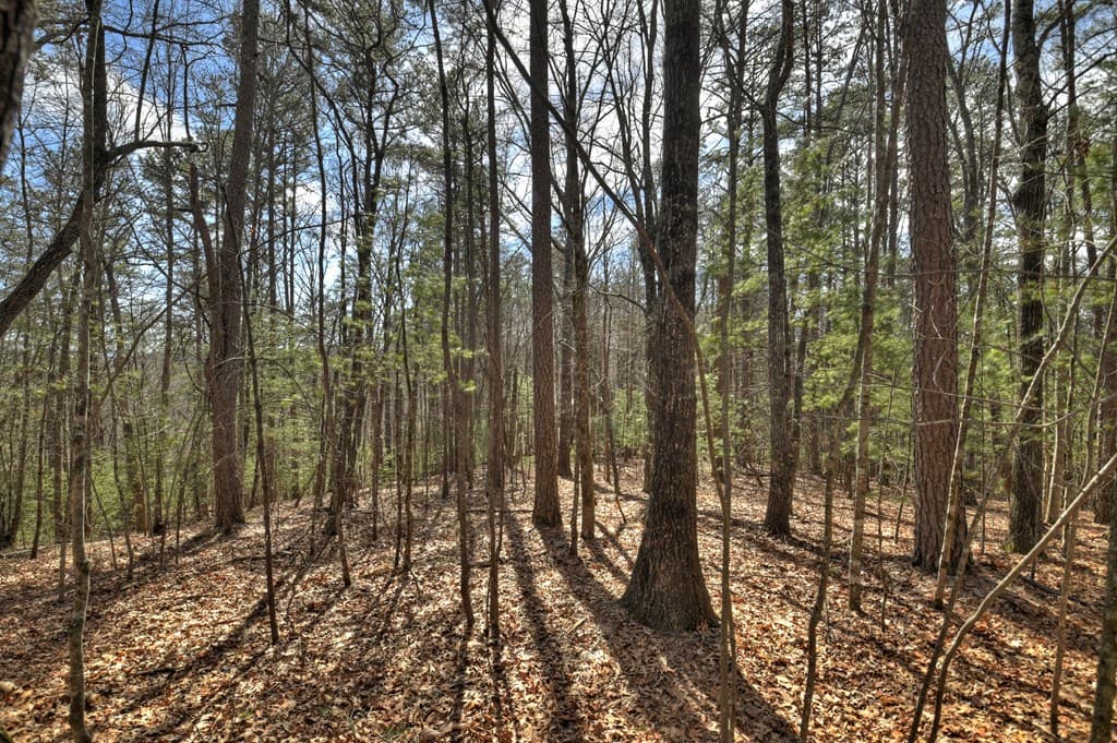 331 Chestnut Gap Road, Blue Ridge GA 30513 - Photo