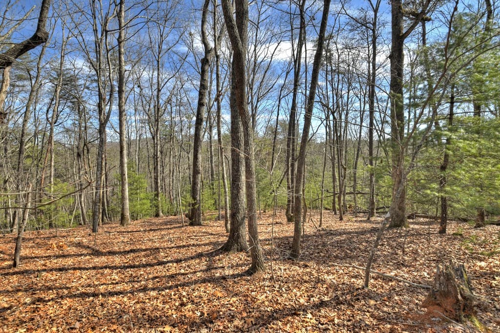 331 Chestnut Gap Road, Blue Ridge GA 30513 - Photo