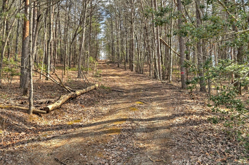 331 Chestnut Gap Road, Blue Ridge GA 30513 - Photo