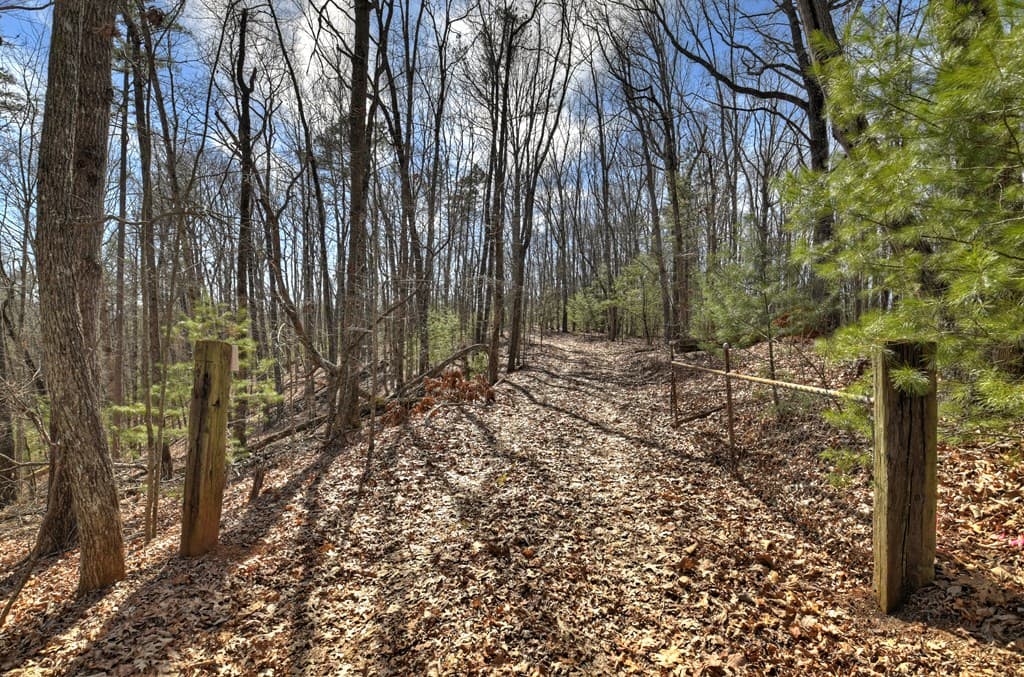 331 Chestnut Gap Road, Blue Ridge GA 30513 - Photo