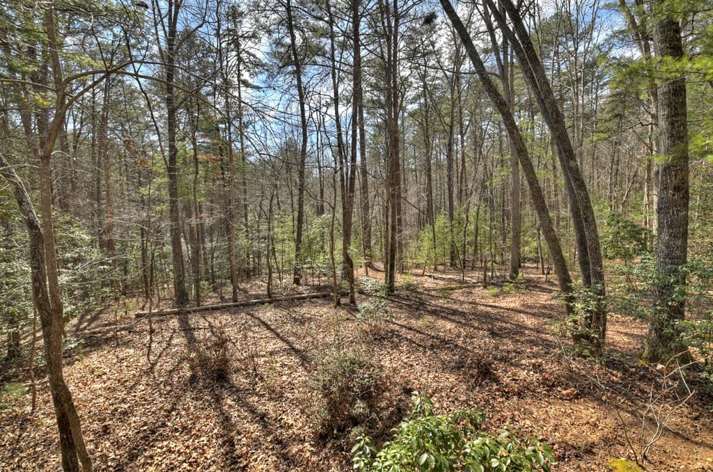 331 Chestnut Gap Road, Blue Ridge GA 30513 - Photo