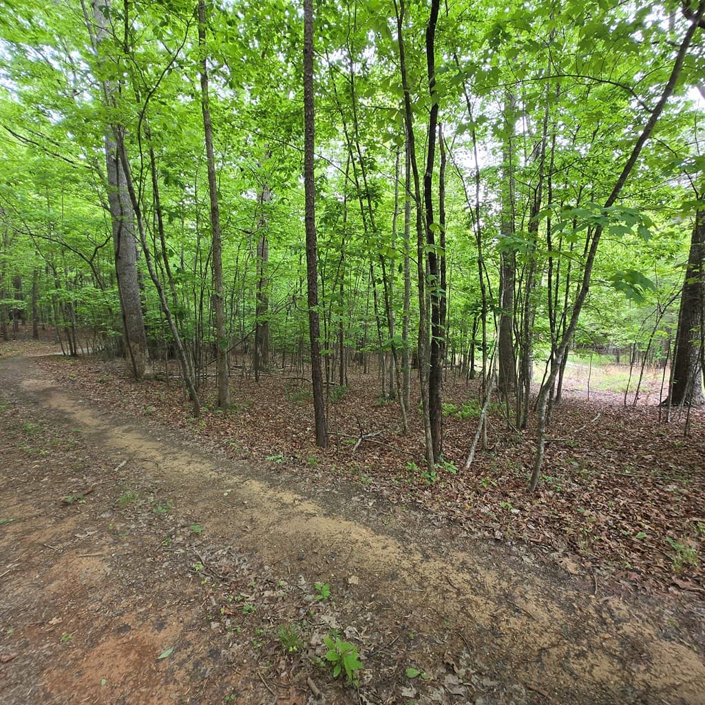 3.5acre Dusty Trail, Morganton GA 30560 - Photo