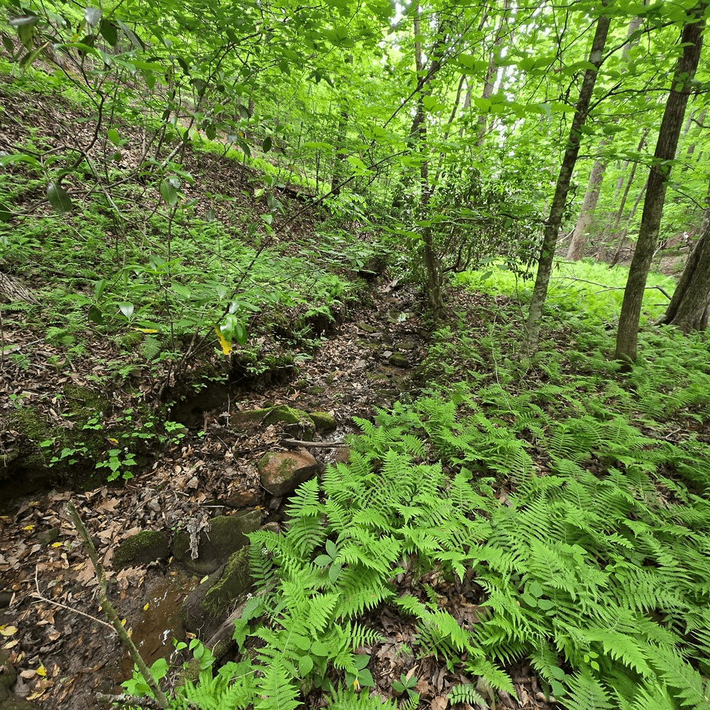 3.5acre Dusty Trail, Morganton GA 30560 - Photo
