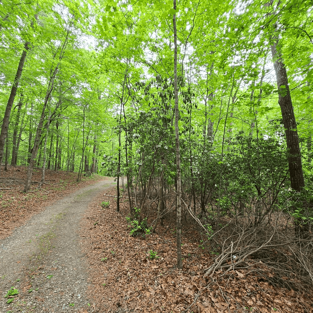 3.5acre Dusty Trail, Morganton GA 30560 - Photo