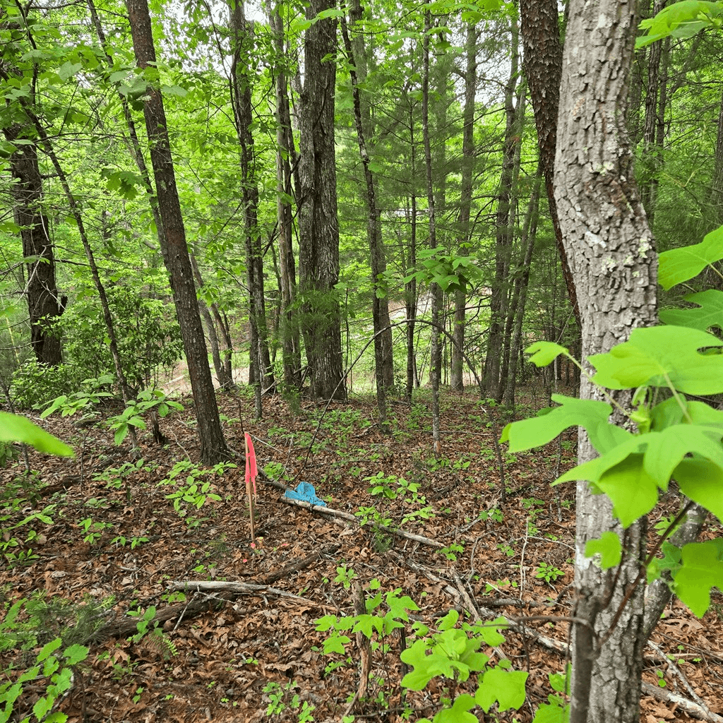 3.5acre Dusty Trail, Morganton GA 30560 - Photo