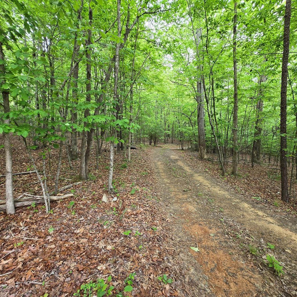 3.5acre Dusty Trail, Morganton GA 30560 - Primary photo