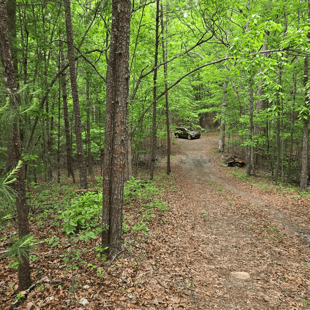3.5acre Dusty Trail, Morganton GA 30560 - Photo
