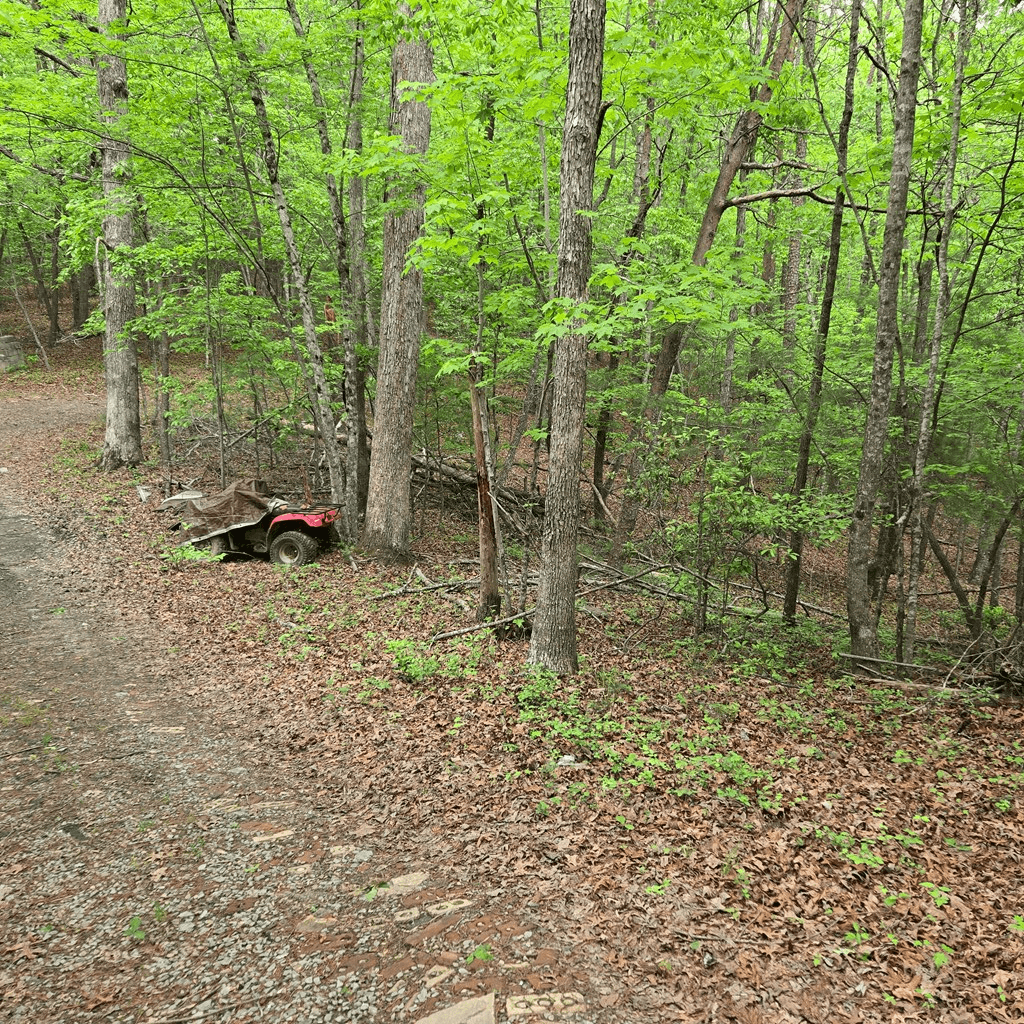 3.5acre Dusty Trail, Morganton GA 30560 - Photo