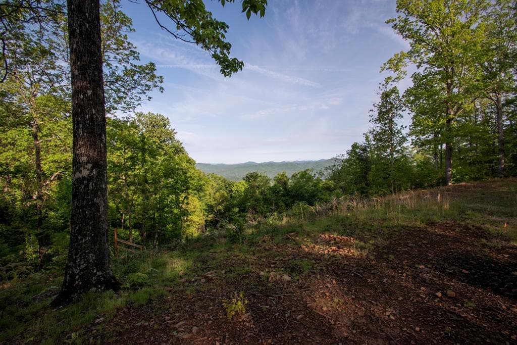 43/44 Timberwood Mountain Estates, Marble NC 28905 - Primary photo