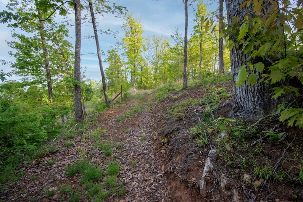 43/44 Timberwood Mountain Estates, Marble NC 28905 - Photo