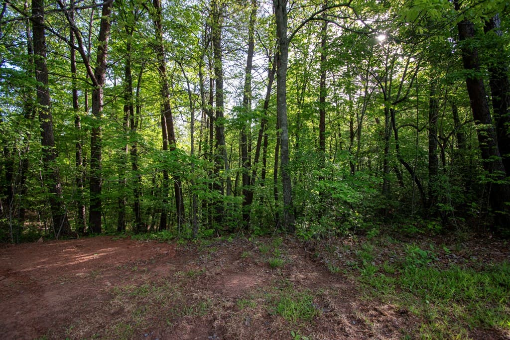 Lot 36 Mountain Top Road, Marble NC 28905 - Photo