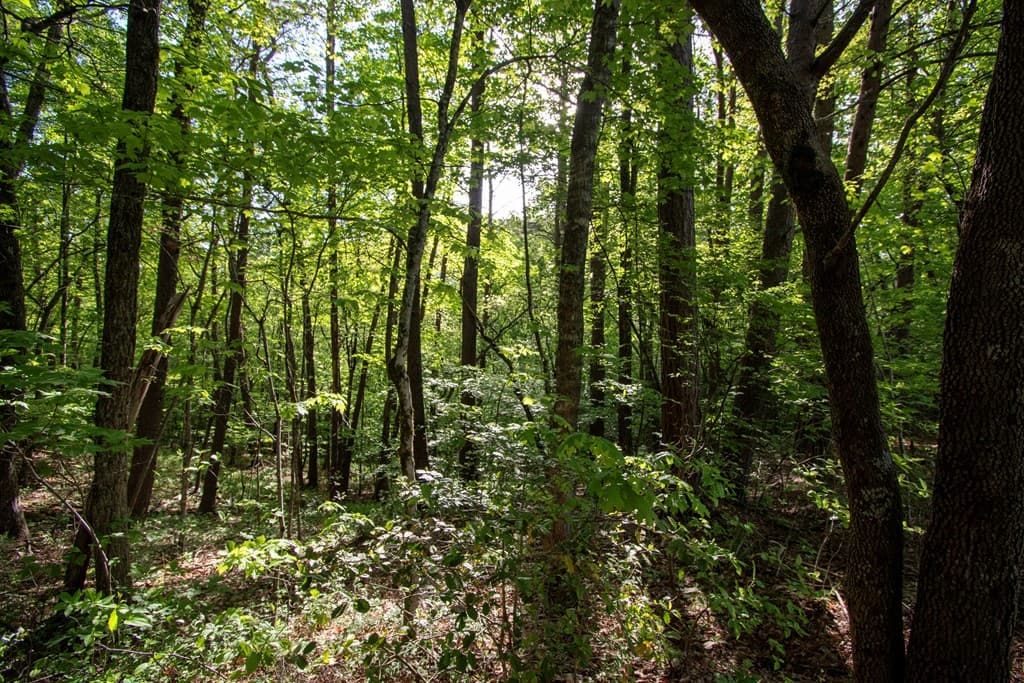 Lot 36 Mountain Top Road, Marble NC 28905 - Photo