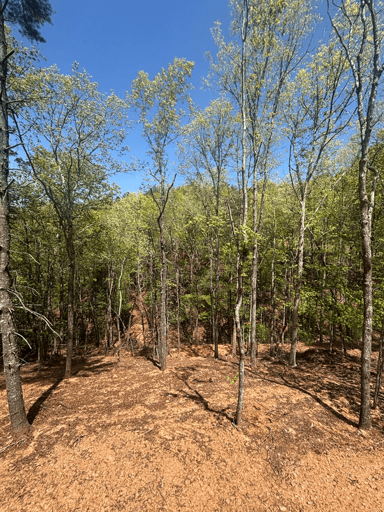 94 Noelle's Pass, Murphy NC 28906 - Photo