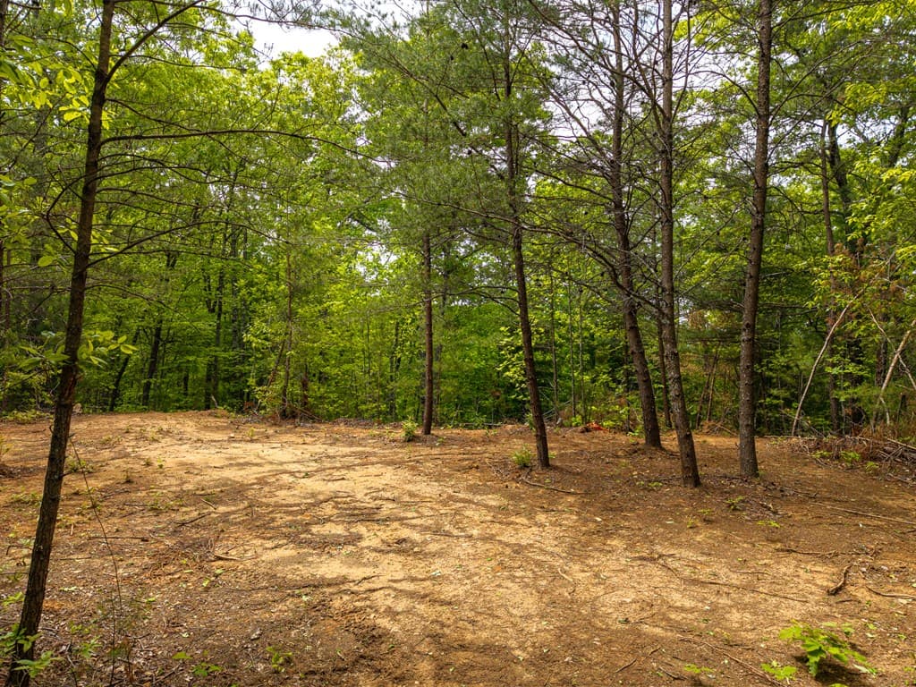 445 Tranquil Cove, Murphy NC 28906 - Photo