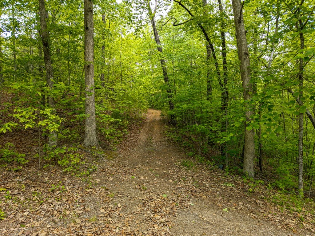 445 Tranquil Cove, Murphy NC 28906 - Photo