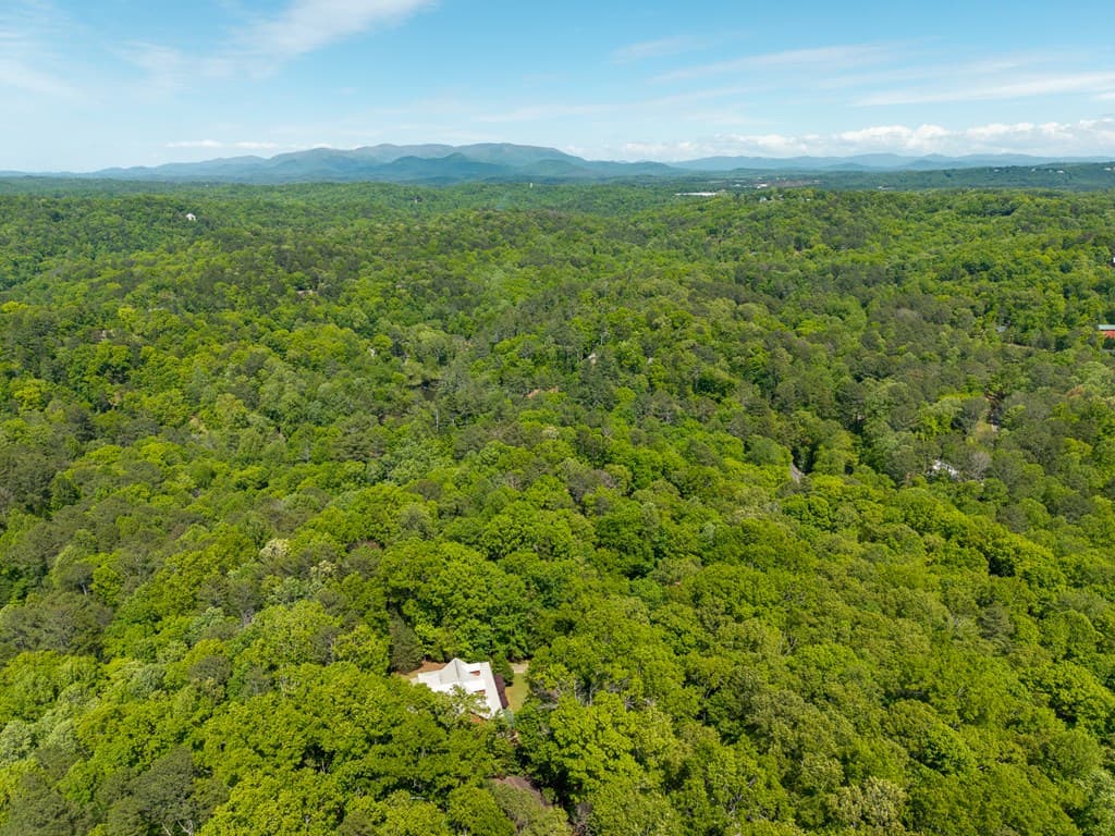 789 Gateway Drive, Ellijay GA 30540 - Photo