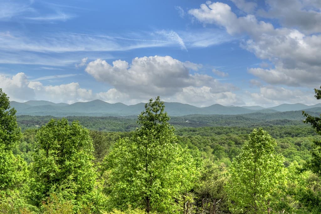 205 Lookout Drive, Blue Ridge GA 30513 - Photo