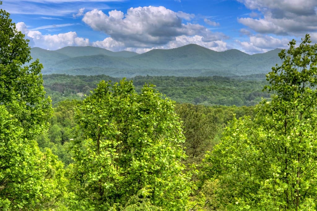 205 Lookout Drive, Blue Ridge GA 30513 - Photo