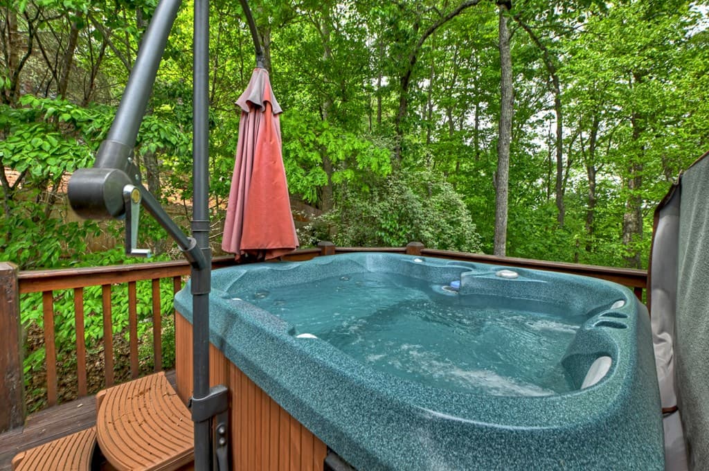 205 Lookout Drive, Blue Ridge GA 30513 - Photo