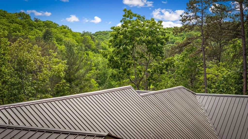 60 Weeks Lane, Ellijay GA 30540 - Photo