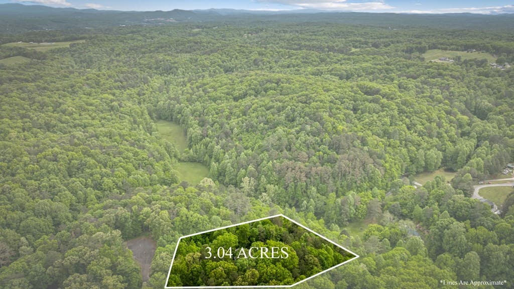 60 Weeks Lane, Ellijay GA 30540 - Photo