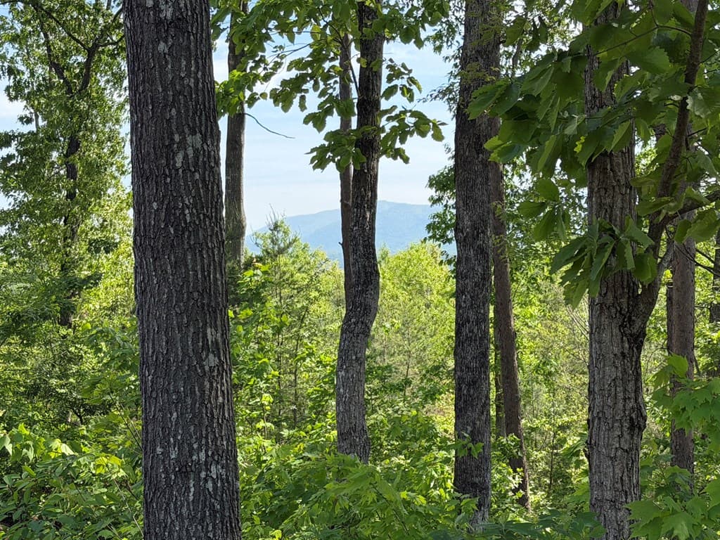 LOT 31 Summit View Lane, Ellijay GA 30540 - Photo
