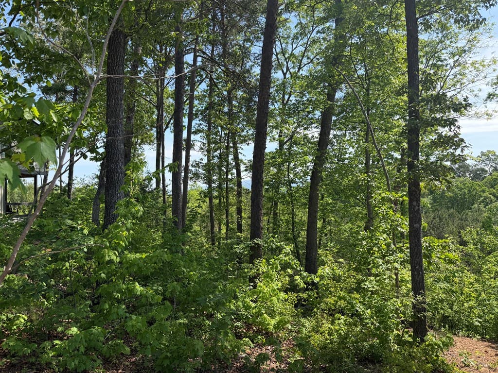 LOT 31 Summit View Lane, Ellijay GA 30540 - Photo