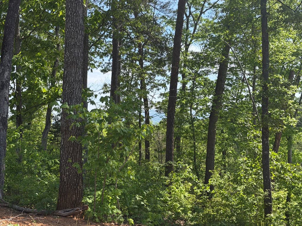 LOT 31 Summit View Lane, Ellijay GA 30540 - Photo