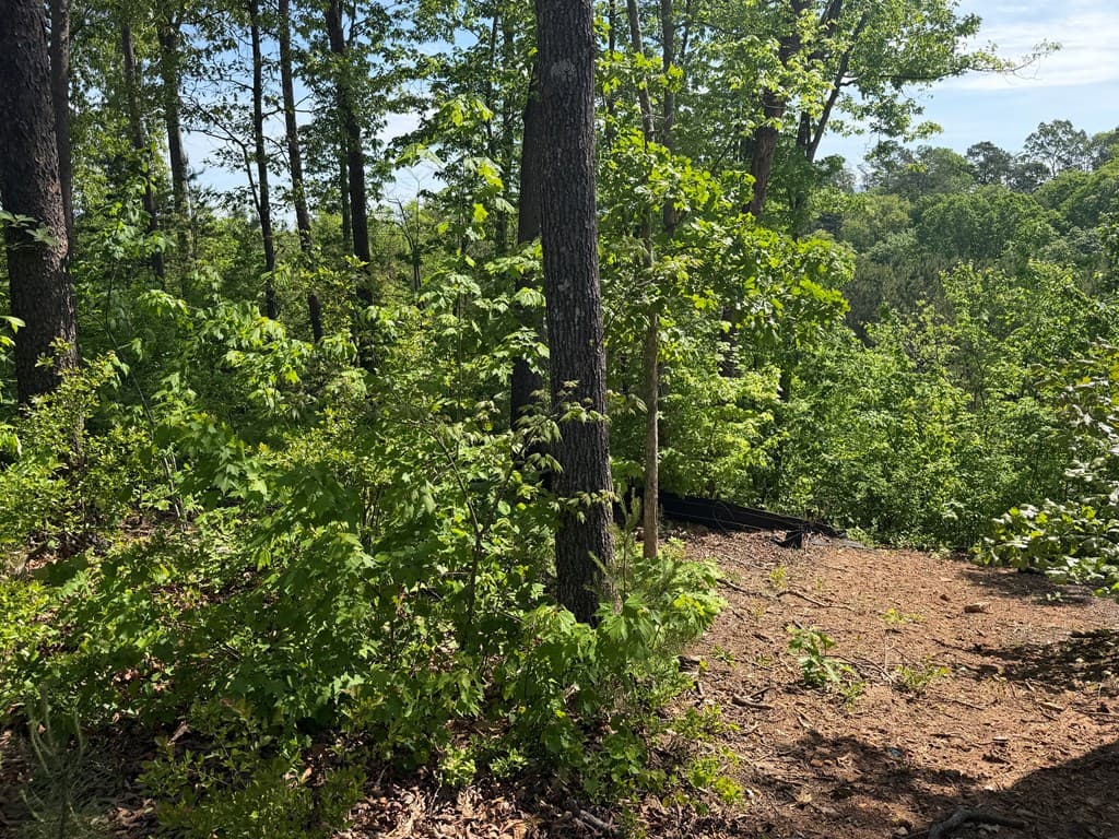 LOT 31 Summit View Lane, Ellijay GA 30540 - Photo