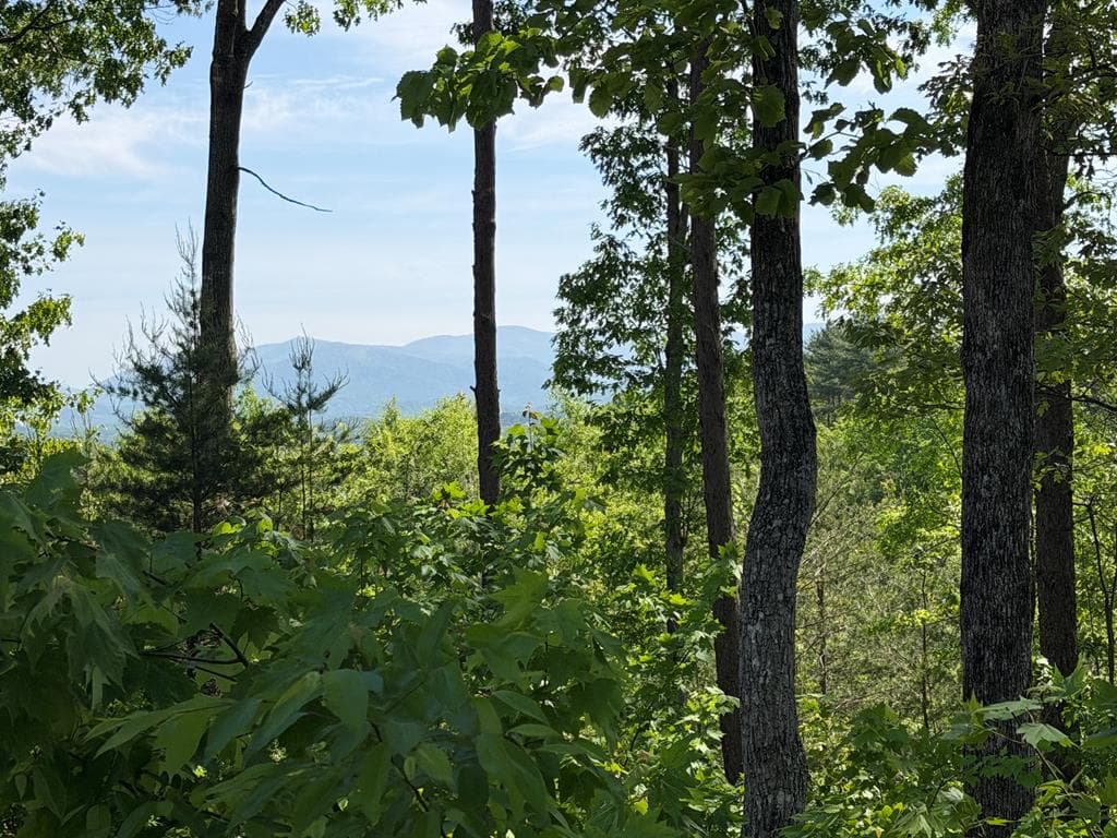 LOT 31 Summit View Lane, Ellijay GA 30540 - Primary photo