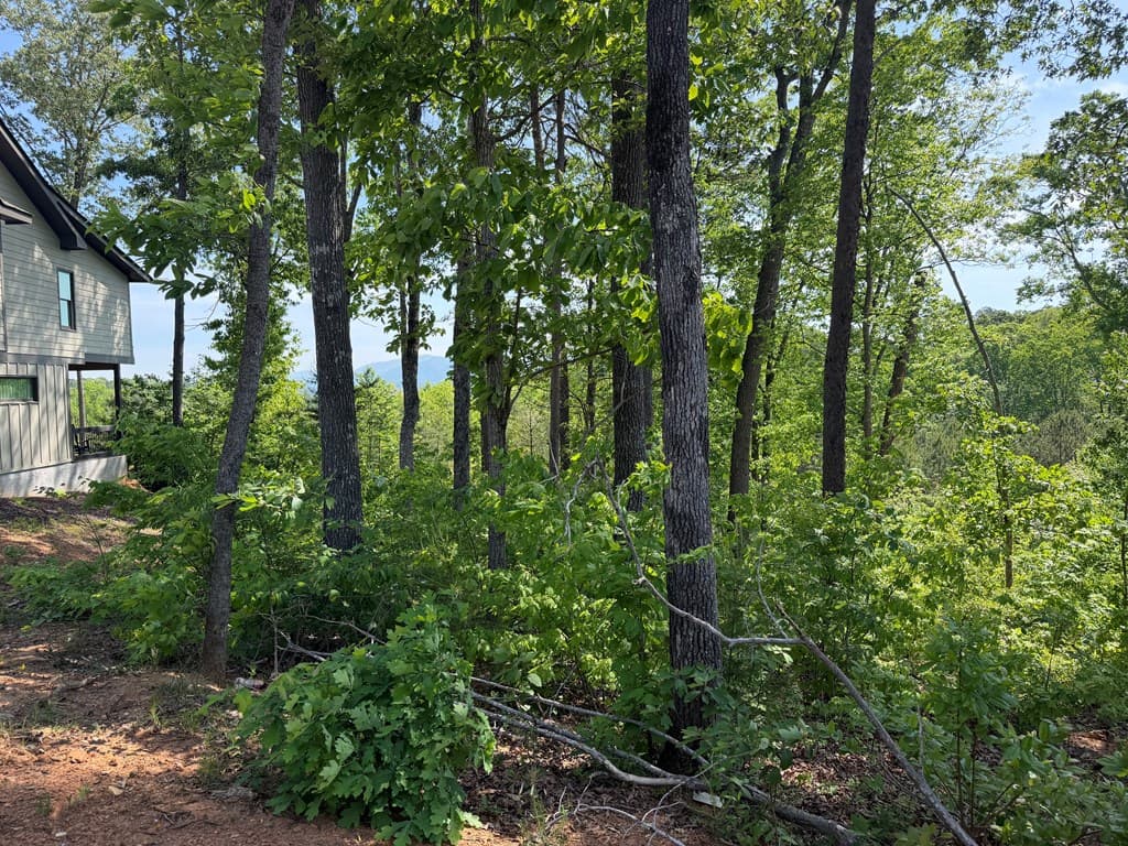 LOT 31 Summit View Lane, Ellijay GA 30540 - Photo