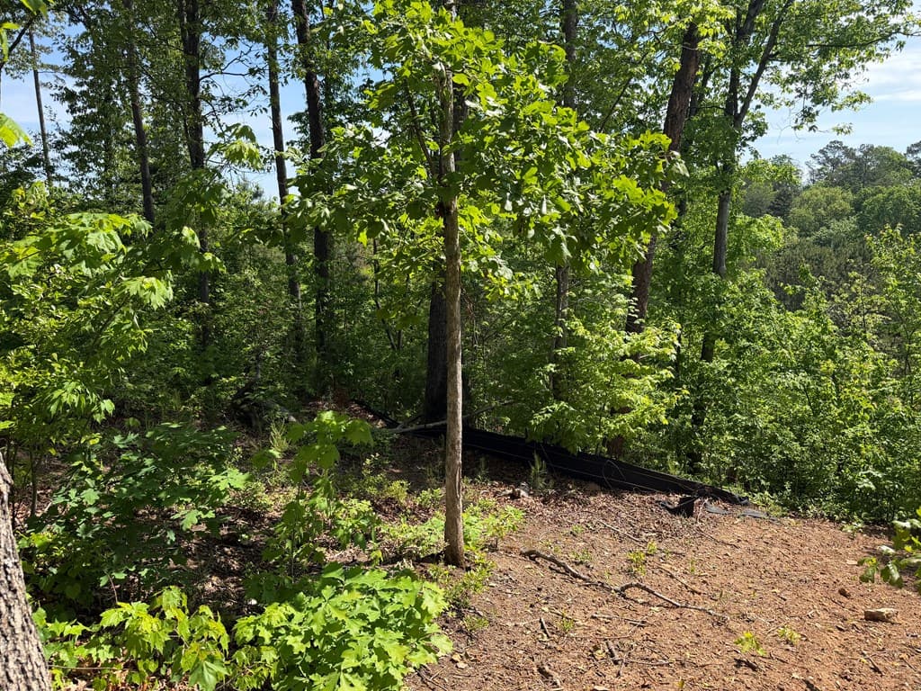 LOT 31 Summit View Lane, Ellijay GA 30540 - Photo