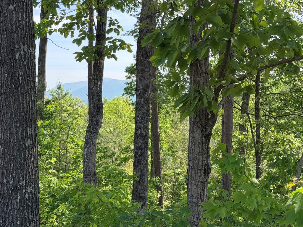 LOT 31 Summit View Lane, Ellijay GA 30540 - Photo