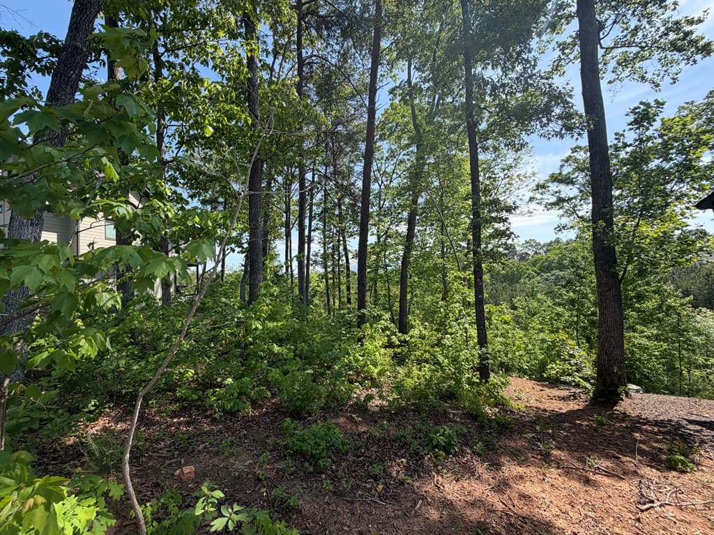 LOT 31 Summit View Lane, Ellijay GA 30540 - Photo