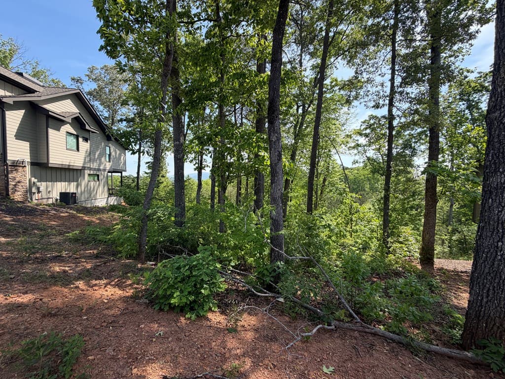 LOT 31 Summit View Lane, Ellijay GA 30540 - Photo