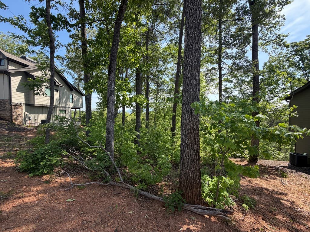 LOT 31 Summit View Lane, Ellijay GA 30540 - Photo