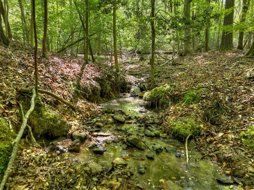 40 Cadet Court, Ellijay GA 30540 - Photo