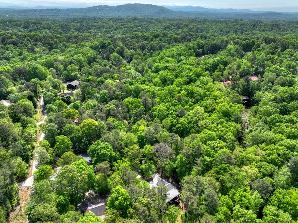 40 Cadet Court, Ellijay GA 30540 - Photo