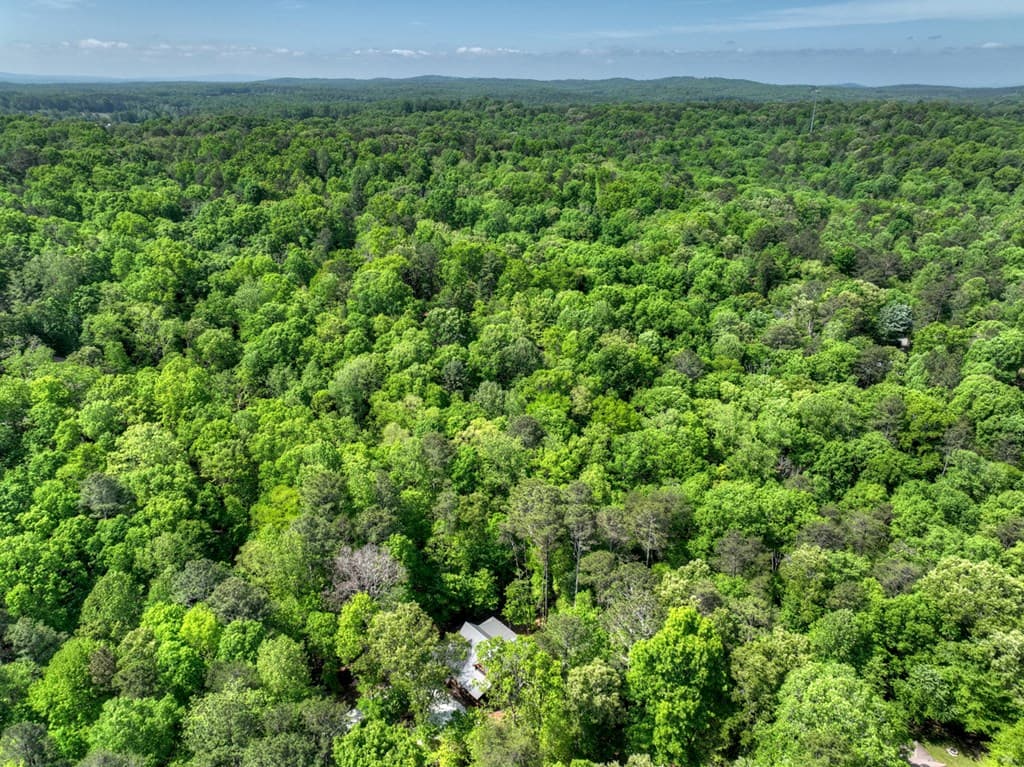 40 Cadet Court, Ellijay GA 30540 - Photo