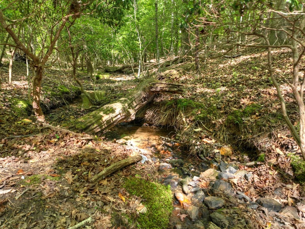 40 Cadet Court, Ellijay GA 30540 - Photo