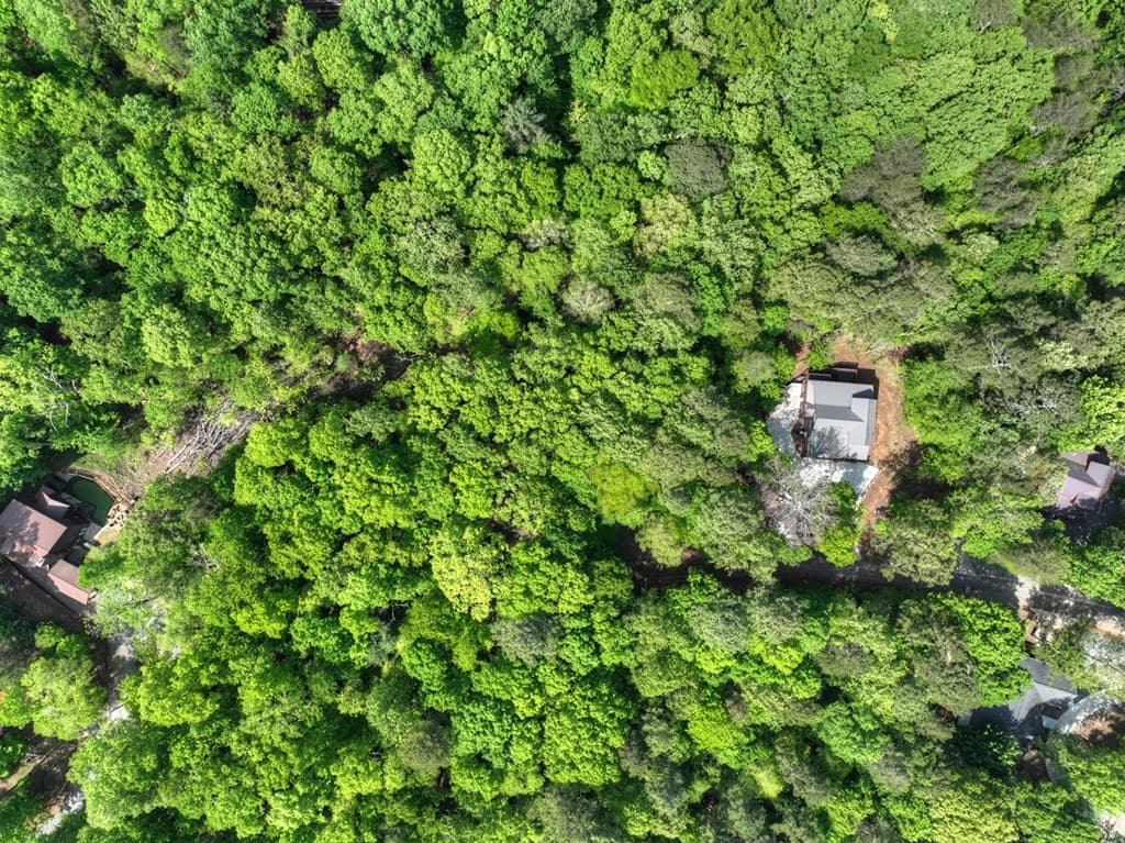 40 Cadet Court, Ellijay GA 30540 - Photo